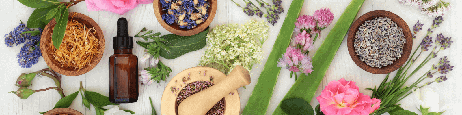 som gurman zdravie blog prirodne bio