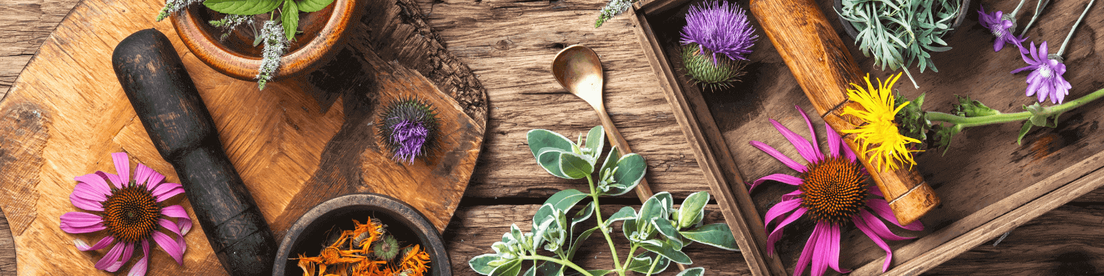 caj, som gurman, blog, ucinky caju, bio čaj, bylinky