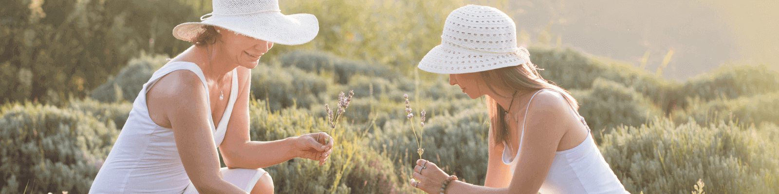 caj, som gurman, blog, ucinky caju, bio čaj, bylinky