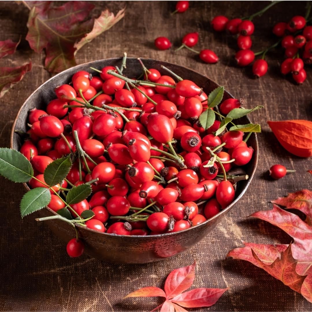 Sirup rakytník - šípka